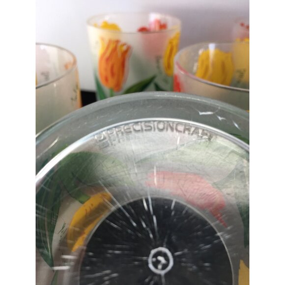 Vtg Precisioncraft Drinking Glasses Frosted Acrylic Parrot Tulip Design Set of 8 - Picture 13 of 14